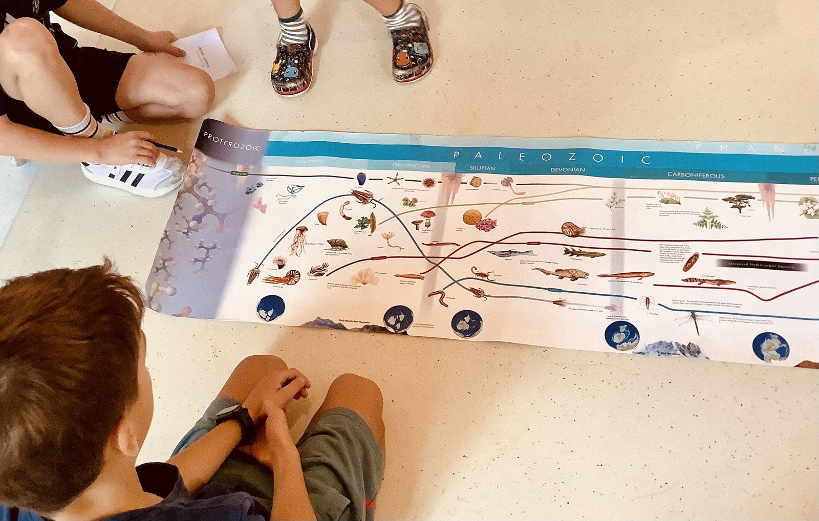 Niños y niñas estudiando la Línea de la Vida desplegada por el suelo del aula