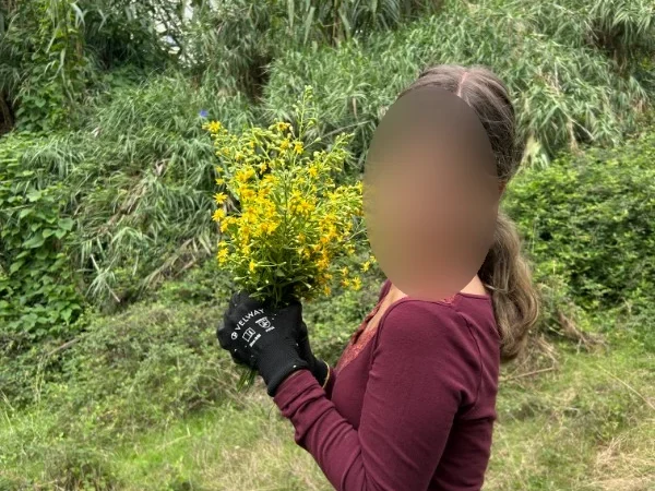 An adolescent student holding wild flowers during land work at Barcelona Montessori School