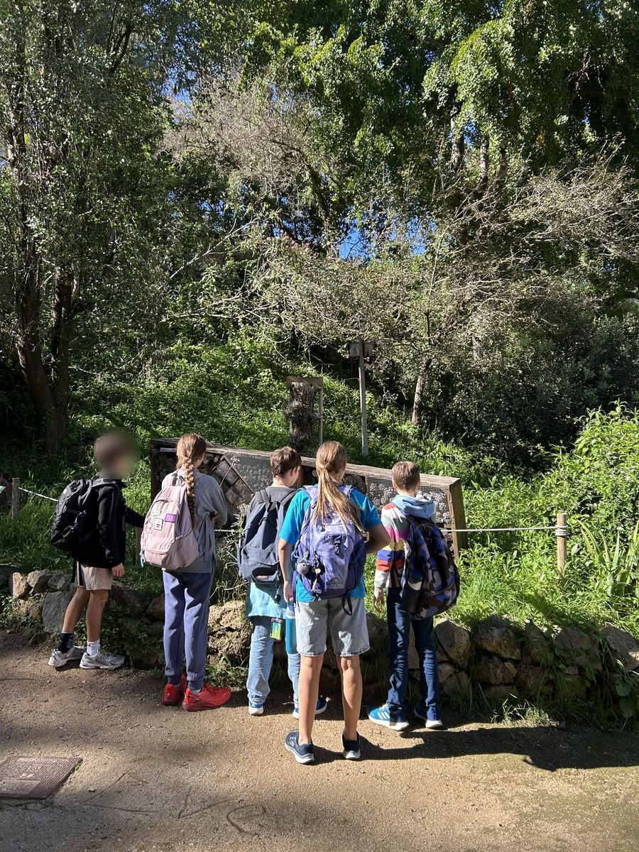 Saja students on their class trip